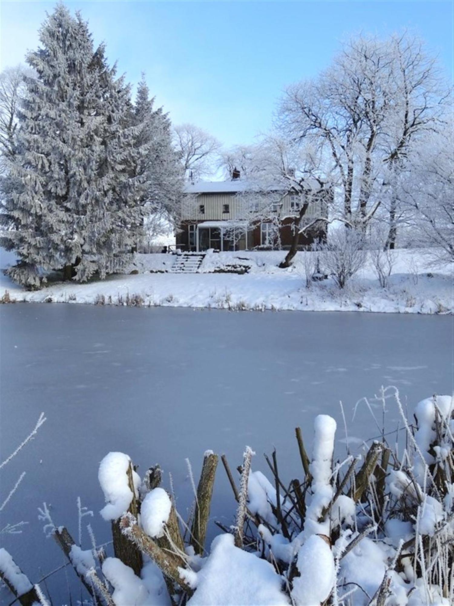 Ferienhaus Naturlich Wassermuhle Kappeln Dış mekan fotoğraf