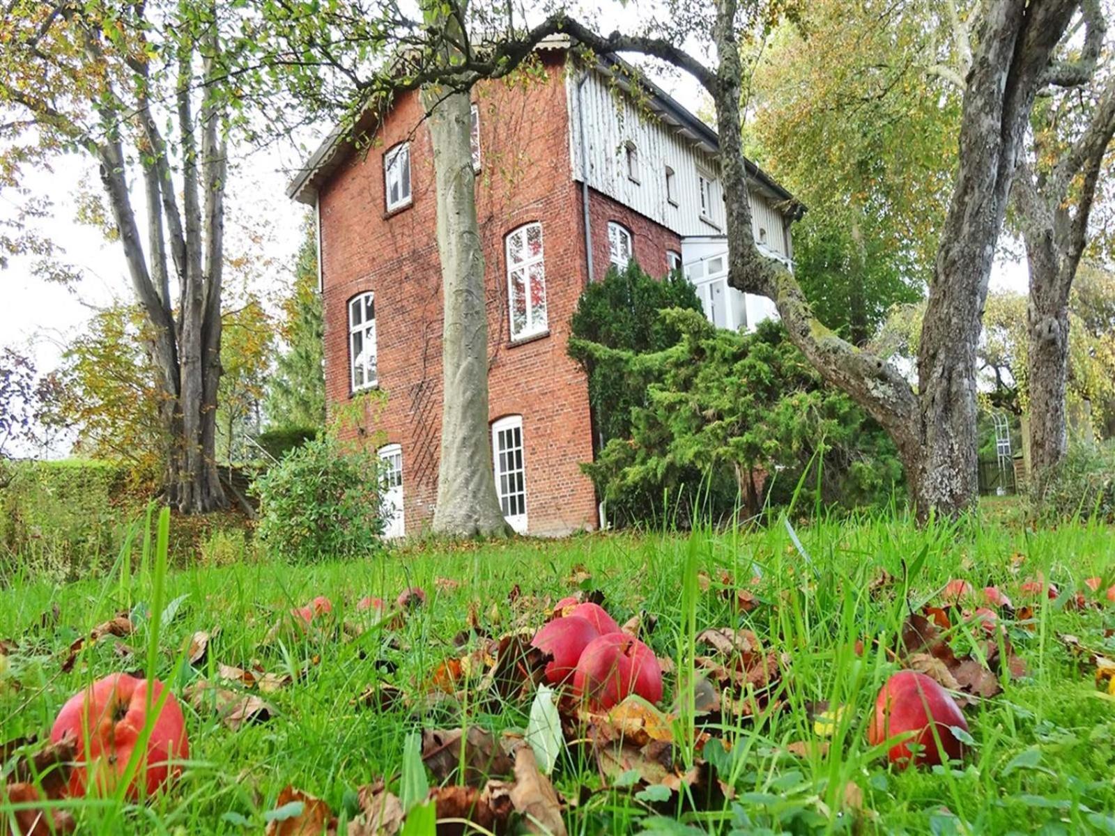 Ferienhaus Naturlich Wassermuhle Kappeln Dış mekan fotoğraf